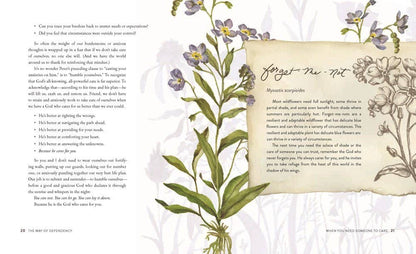 The Way of the Wildflower : Gospel Meditations to Unburden Y