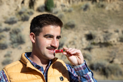 Pomegranate Beeswax Lip Balm  (100% All Natural)