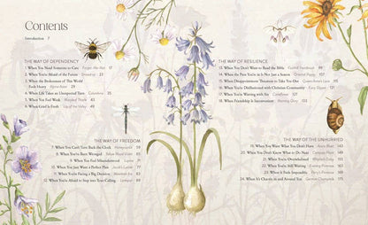 The Way of the Wildflower : Gospel Meditations to Unburden Y